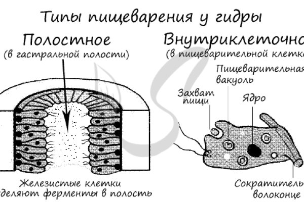 Как зарегистрироваться на кракене из россии