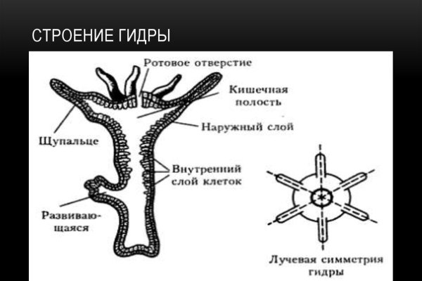 Кракен шоп это