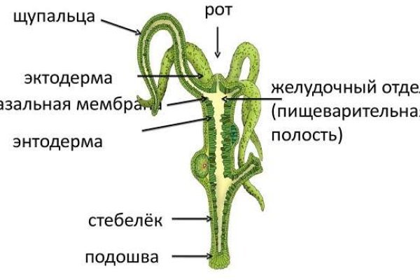 Kra47cc