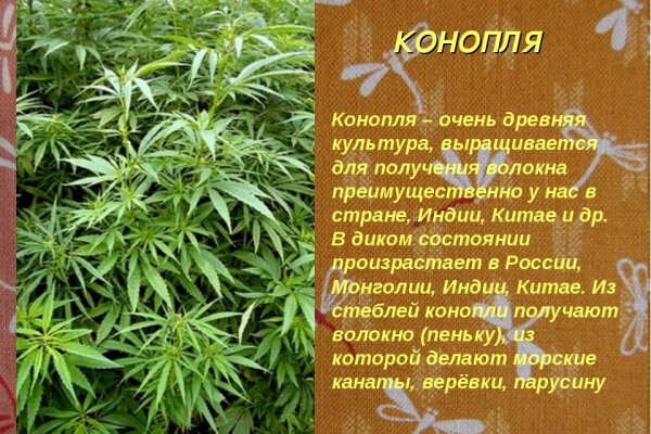 Ссылка кракен vk2 top
