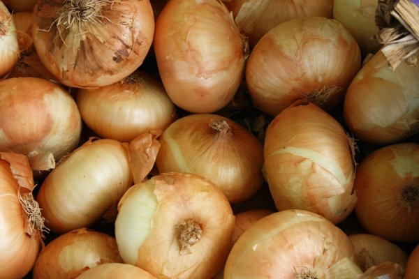 Kraken onion сайта