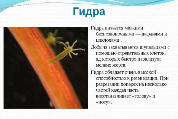 Кракен тор kraken dark