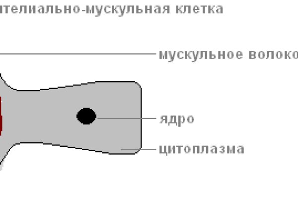 Что такое кракен маркетплейс