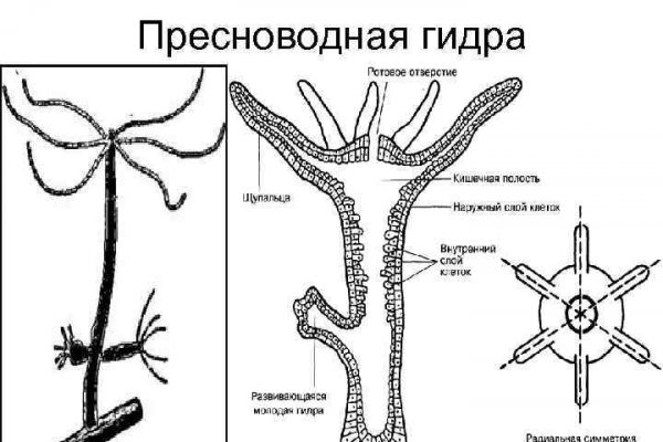 Купить счастье томск