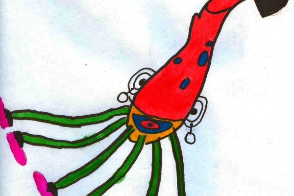 Kraken 13at