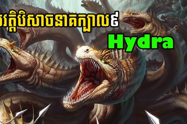 Правильная ссылка на кракен