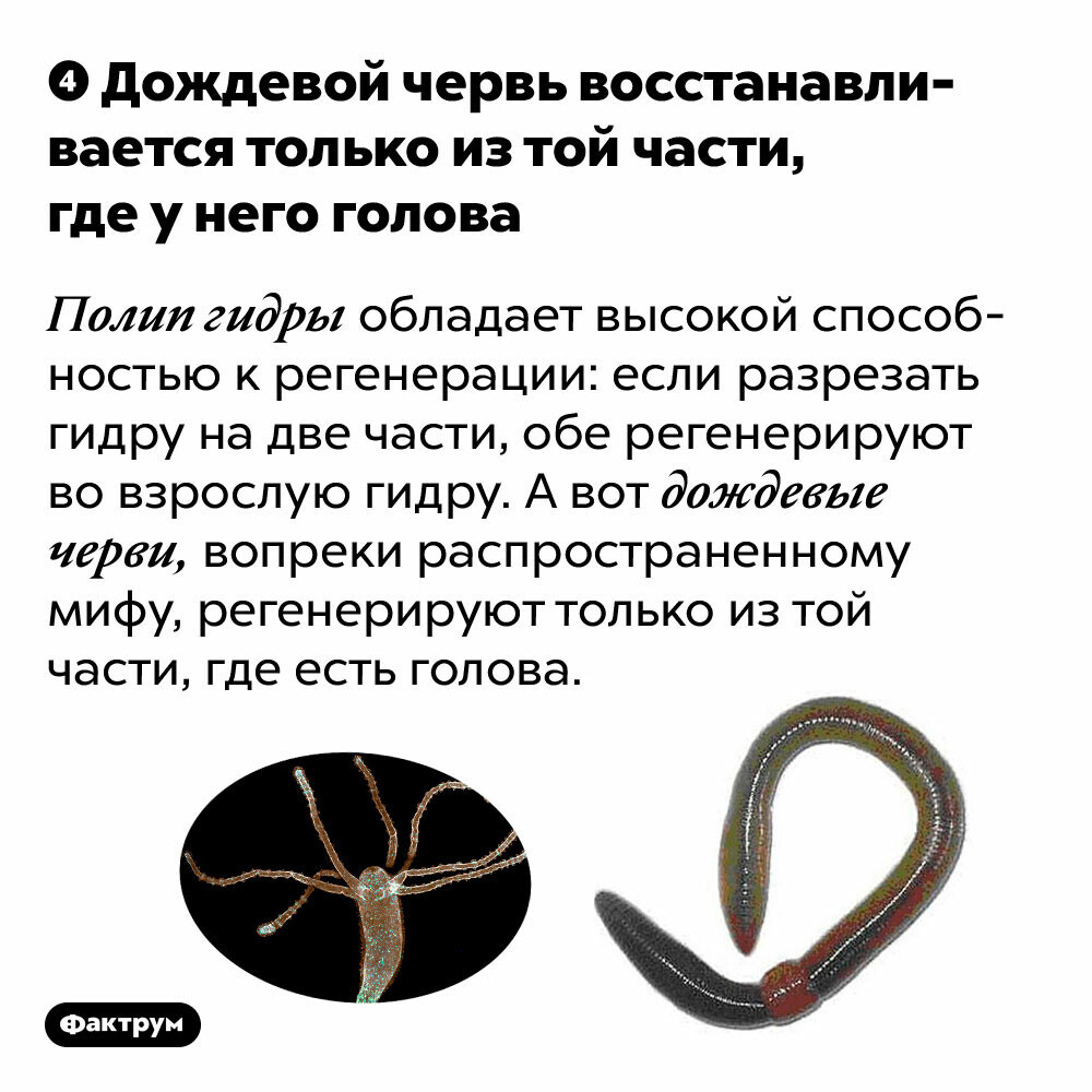Кракен зеркало 2025