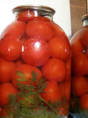 Domate të kuqe të konservuara për dimër. Konservimi i domateve për dimër. Domate të konservuara të këndshme për dimër.