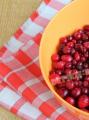 Frozen cranberry juice - recipe na may larawan: