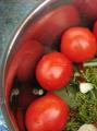 Mazali engil tuzlangan pomidorni qanday tayyorlash mumkin